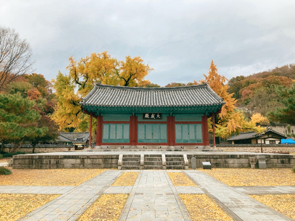 Colorful Gingko Trees at Jeonju Hyanggyo (Confucian School)